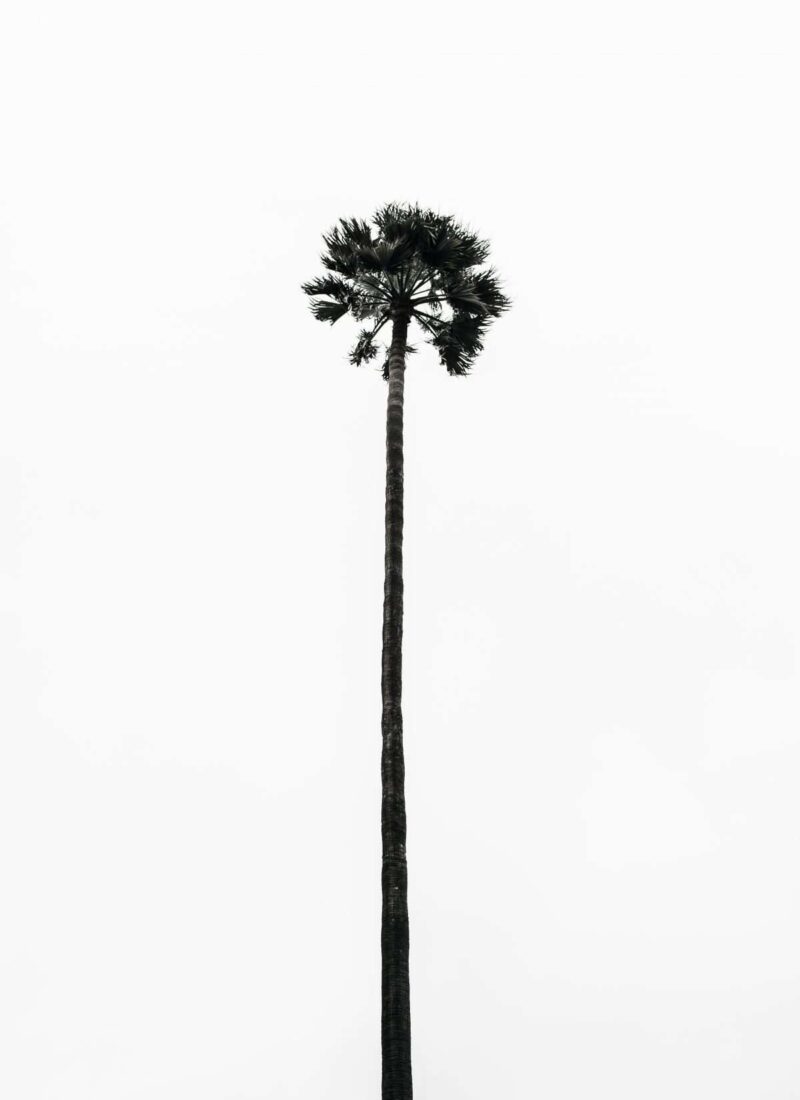 Sample Post with Lists